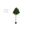Figuier Helmsford-759952791