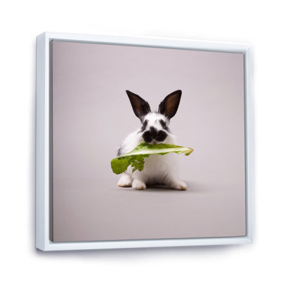 Lapin noir et blanc avec feuille verte - photographie sur toile