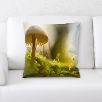 Coussin décoratif flou