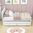 Twin 2 Drawers Platforms Bed with Trundle-1569645548