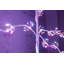 LED Holiday Lighting
