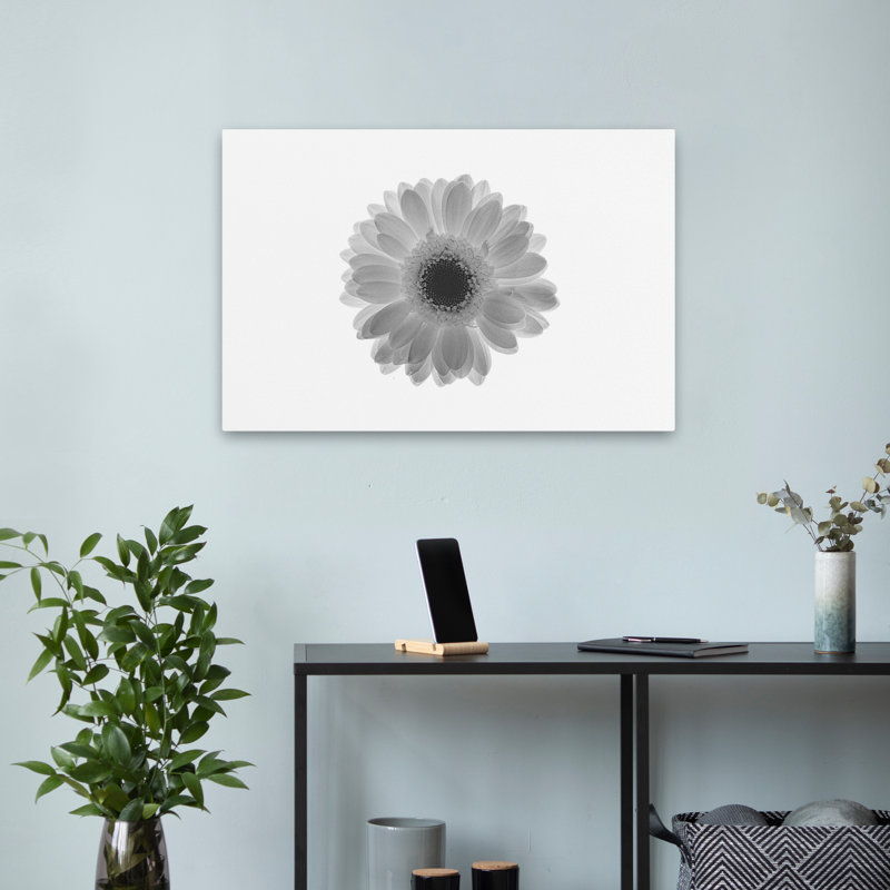 Plantes, fleurs, marguerite, art mural, H 16 po x l 24 po
