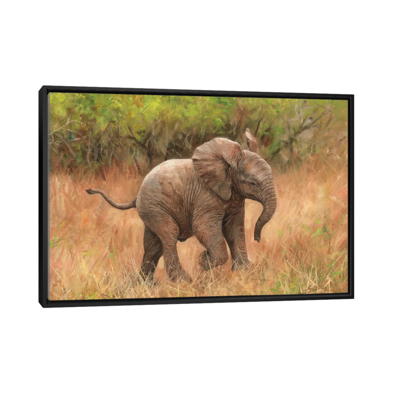 «Baby African Elephant», impression sur toile, H 18 po x l 26 po x P 1,5 po, Toile avec cadre noir, Pas de tapis