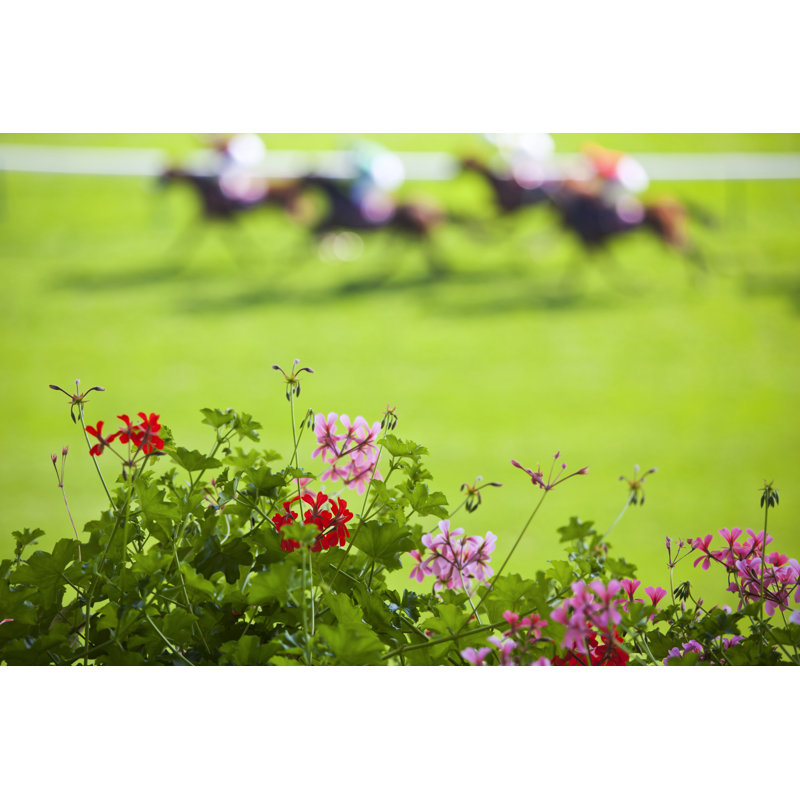 «Day at the Races» par Stocknshares, H 8 po x l 12 po