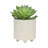 S/2 6/8" TEXTURED PLANTERS, SHINY WHITE-2054606802