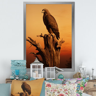 " Brown Resiliant Bold Eagle II "