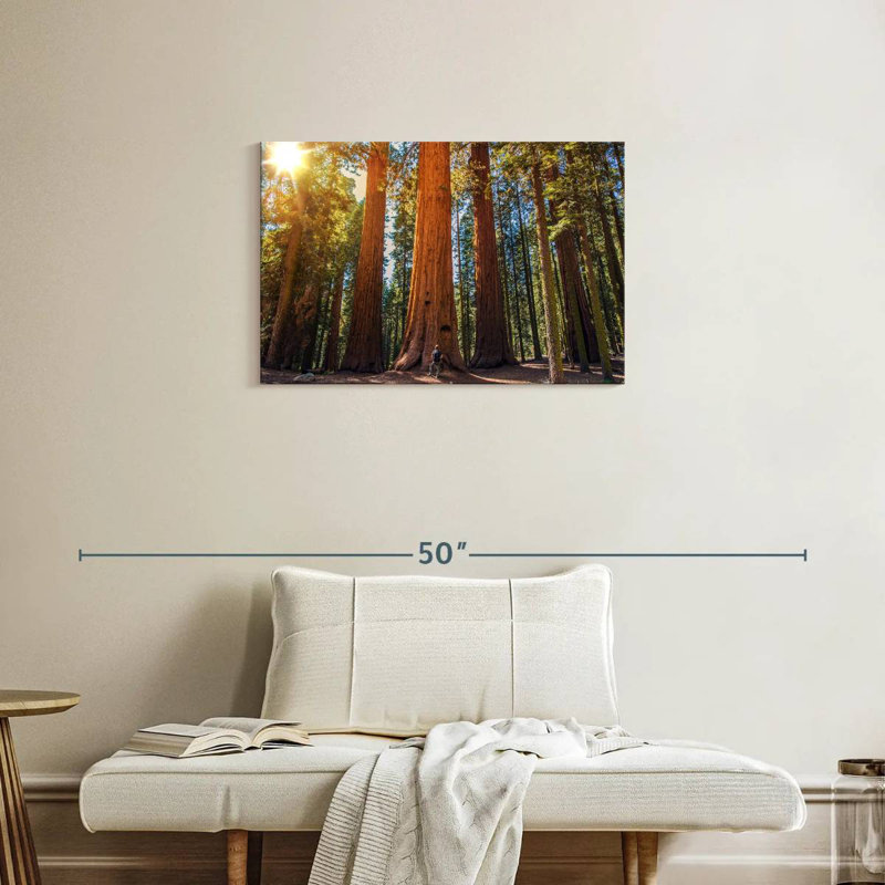 Harnek Giant Sequoia Trees, 20" H x 30" W