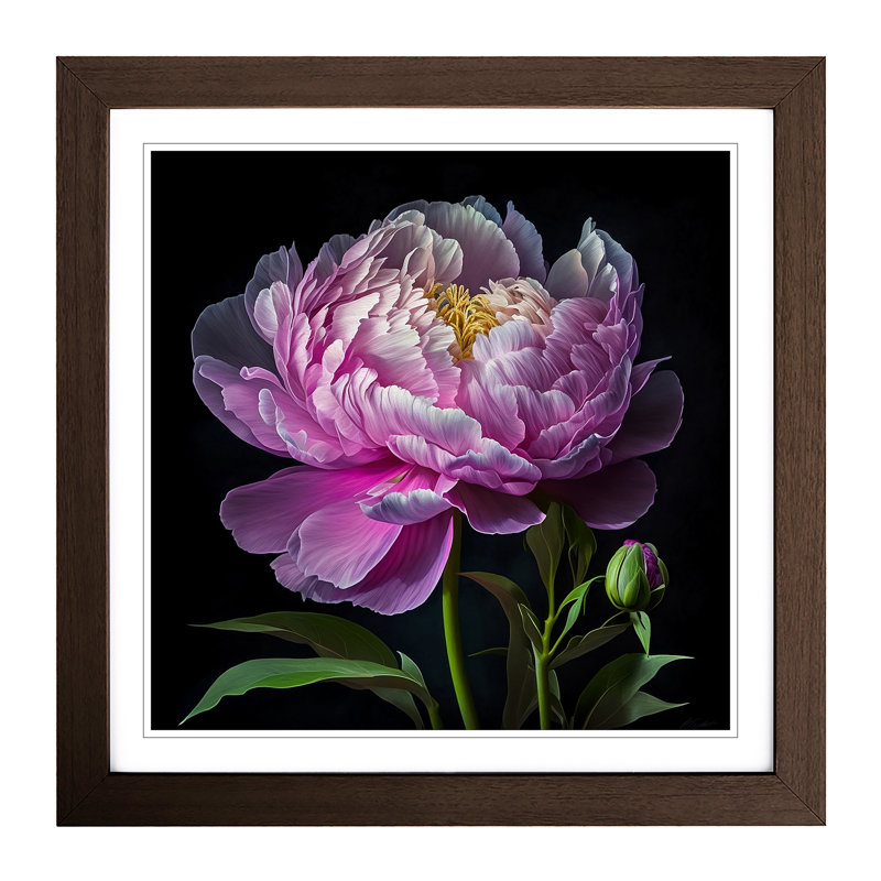 Peony Flower Floral - Framed Print