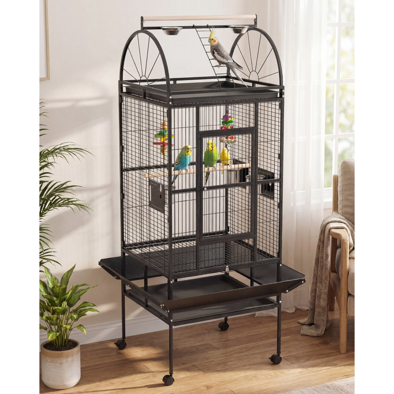 176 Bird Cage