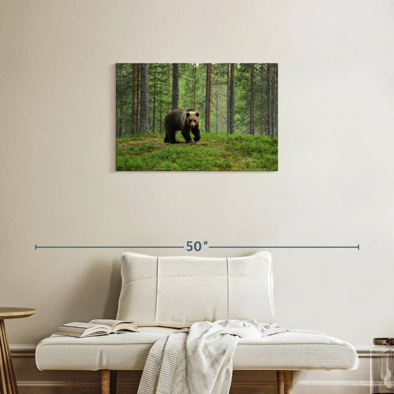 European Brown Bear, 20" H x 30" W