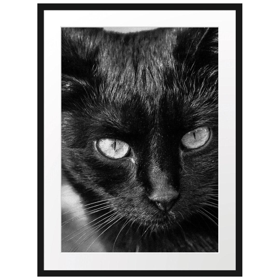 Gerahmtes Fotoposter "Schwarze Katze