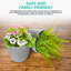 Pot Planter-69294295