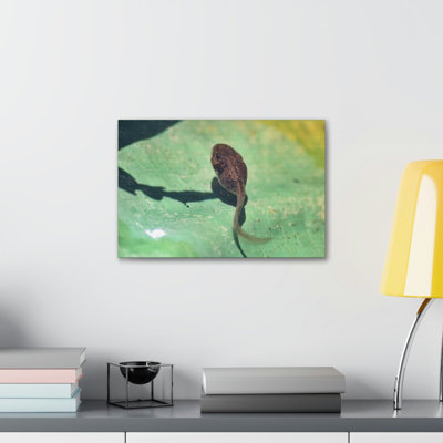 No Frame Print on Canvas