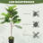 Artificial Fiddle Leaf Fig Tree