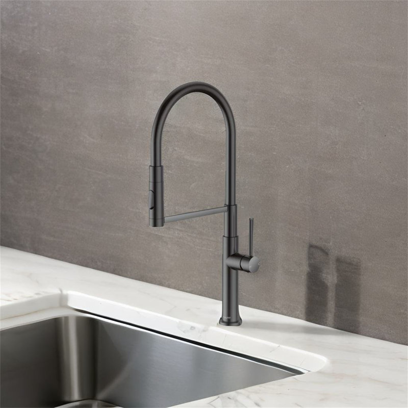 TONWIN Kitchen Faucet, Matte Black
