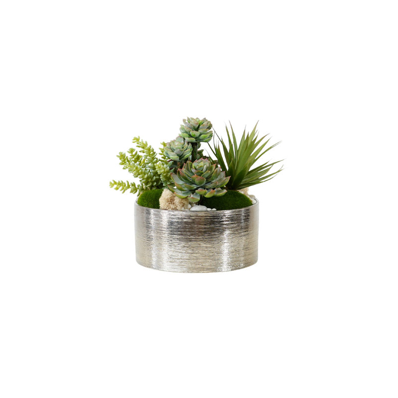 Succulents Arrangement in Silver Etched Bowl