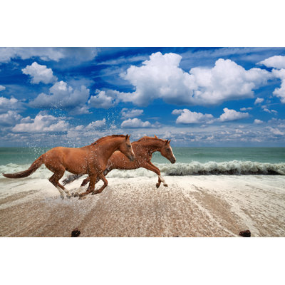 Horses Running Along Seashore by Ig0rZh - Wrapped Canvas Print