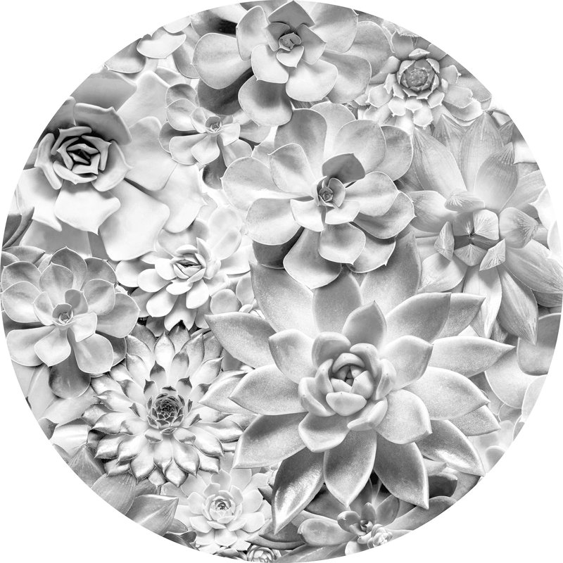 Adhésif décoratif à pois non tissé Echeveria