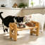 Elevated Feeder