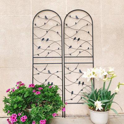 2 Pack Metal Garden Trellis Rustproof Outdoor Plant Support Sturdy Screen For Climbing Plants And Flowers
