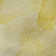Premium Machine Washable Cerrito AMF509 Gold Rug