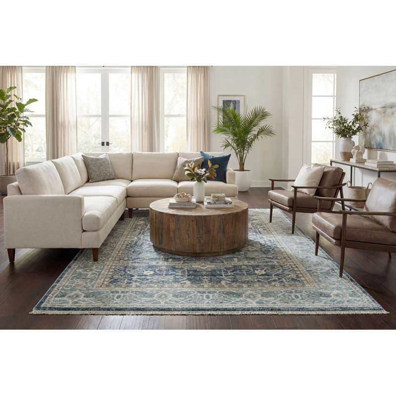 Omarion Southwestern Indoor Rug, Rectangle 7'10" x 10'