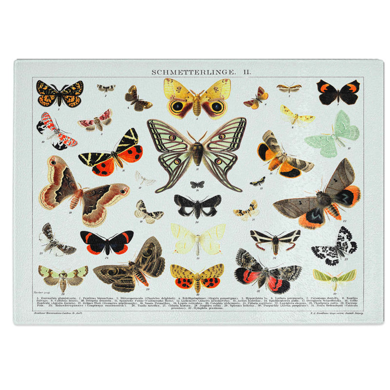 Tempered Glass Butterflies and Moths Chopping Board, 39 cm W x 28.5 cm L