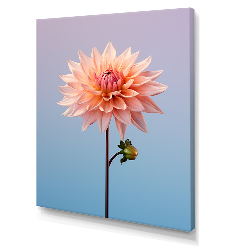Fleurs éternelles de dahlia rose - imprimé, H 44 po x l 34 po x P 1,5 po, Toile tendue