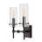 Chuperosa Bohemian Farmhouse Iron/Glass LED Vanity-67637906-119338787