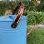 Metal Watering Can-75050061