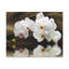 No Frame Print on Canvas-920856356