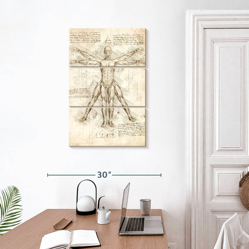 Vitruvian Man