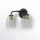 Jed 2 Light Dimmable Vanity Light
