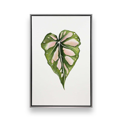Reproduction d'art «Blush Vein Study» par Dollybirds