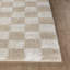 Machine Washable Shaggy Boho Beige Area Rug-511543444