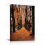 Automne automne «Orange Autumn Garden Path Nature Forest Trees» sur-99142070-99142074