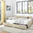 Queen Size Storage Upholstered Tufted Bed Frame, Sofa Bed Frame With Comfortable Backrest And Armrests, Queen Size Bed For Bedroom, Living Room,Velvet, BEIGE(85.5''*64.5''*29.5'')-606274468