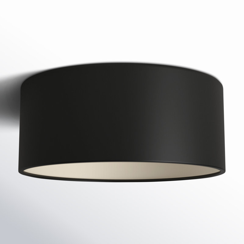 Leni LED Outdoor Flush Mount, Carbon Matte Black