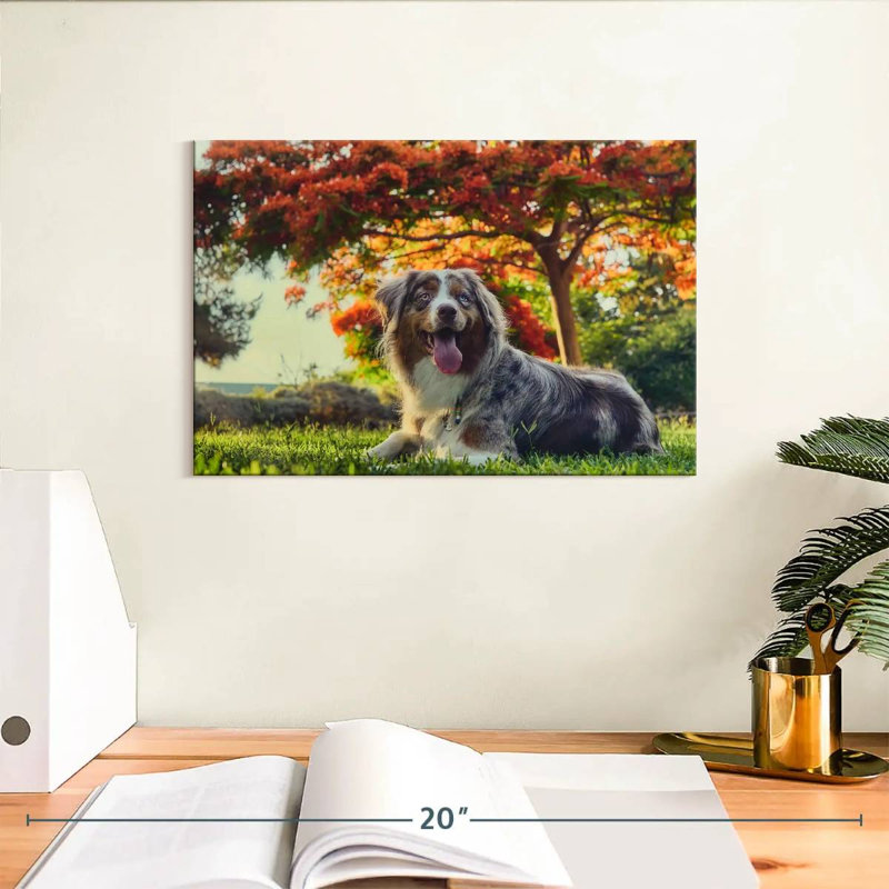 Cherry Border Collie, 8" H x 12" W