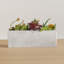 Sydnee 19cm Succulent in Cement Planter