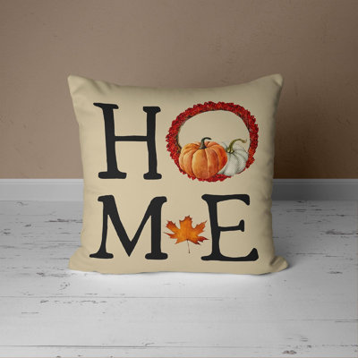 Haleigh Indoor / Outdoor Square Scatter Cushion