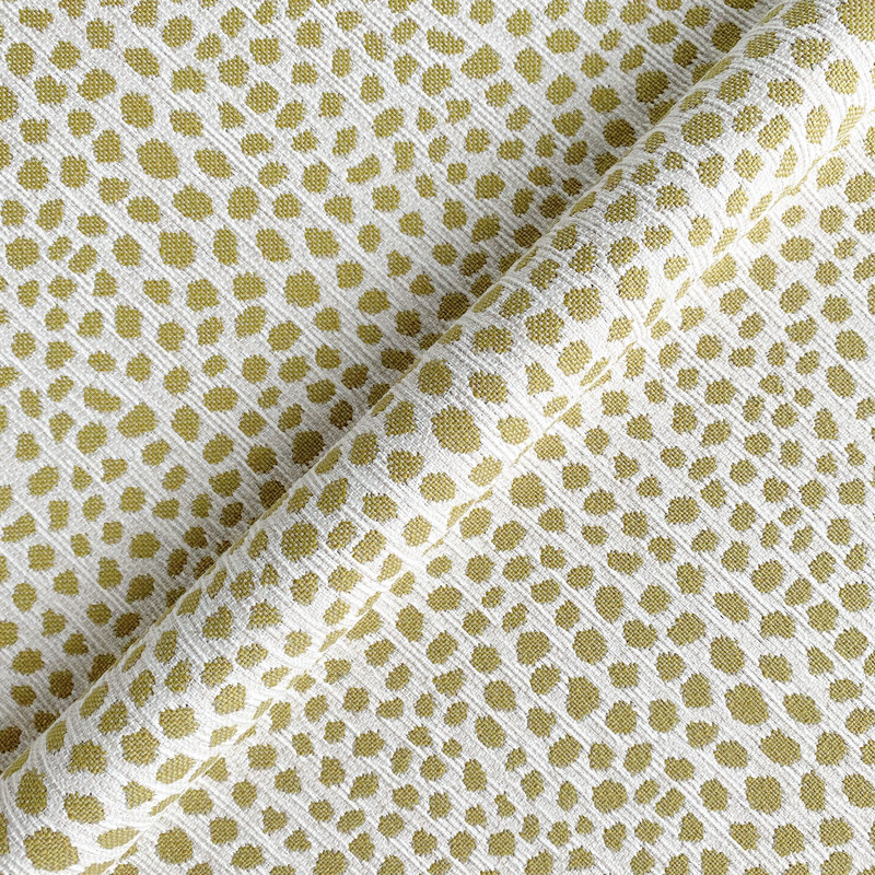 Fibi Goldenrod Rr