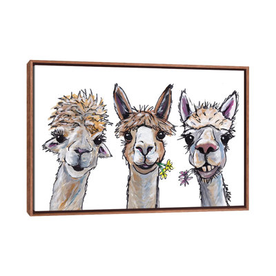 " Alpacas Trio II " by Hippie Hound Studios