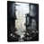 Black Floater Framed