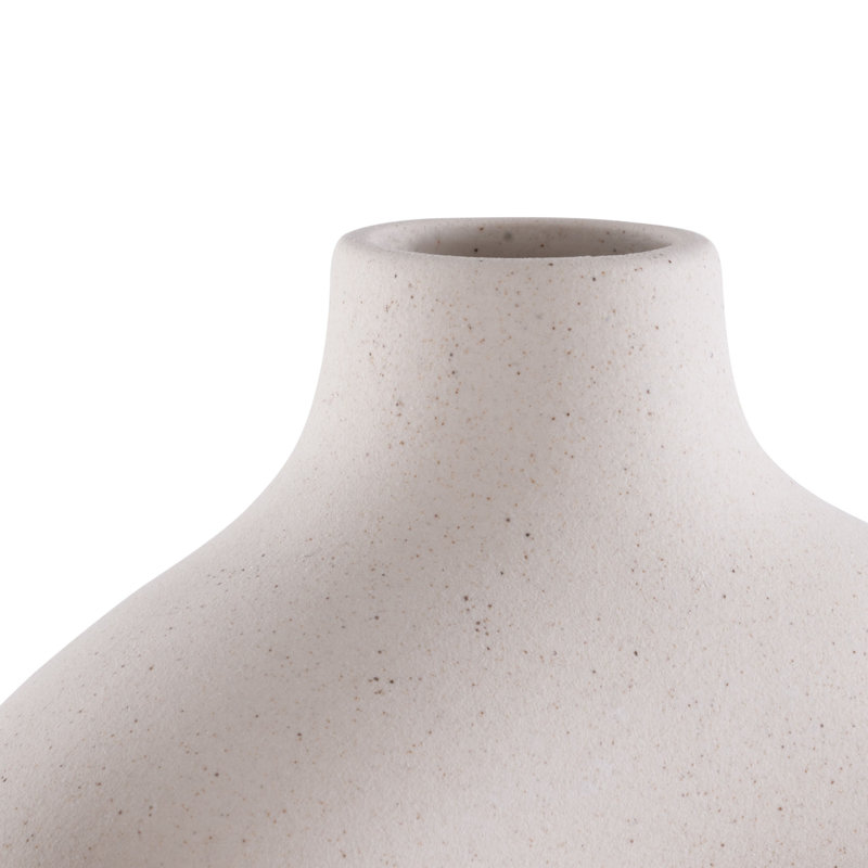 Aionna Ceramic / Porcelain Table Vase