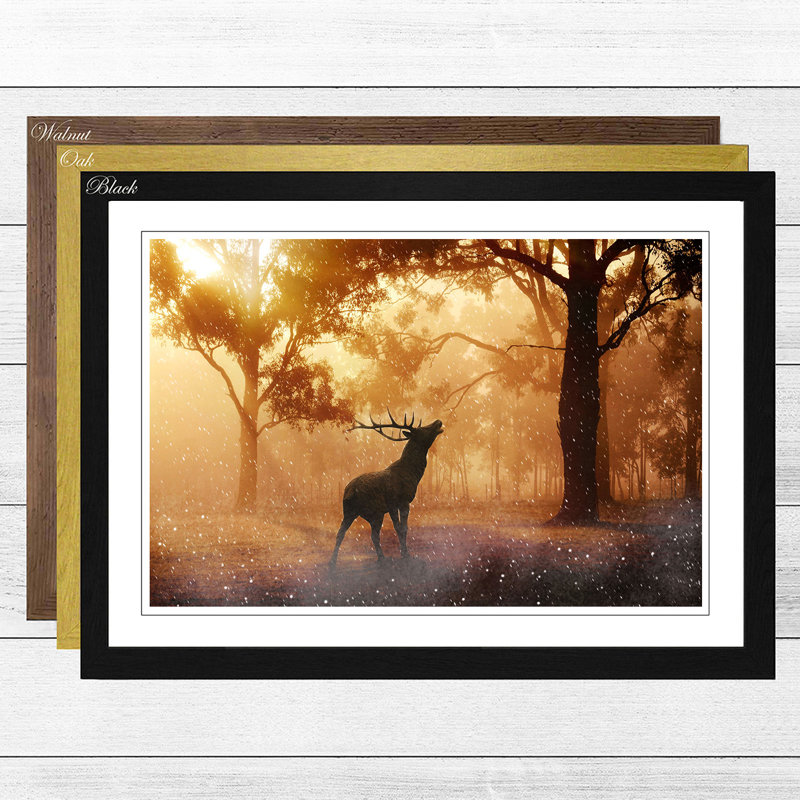 Single Picture Frame Print, Black