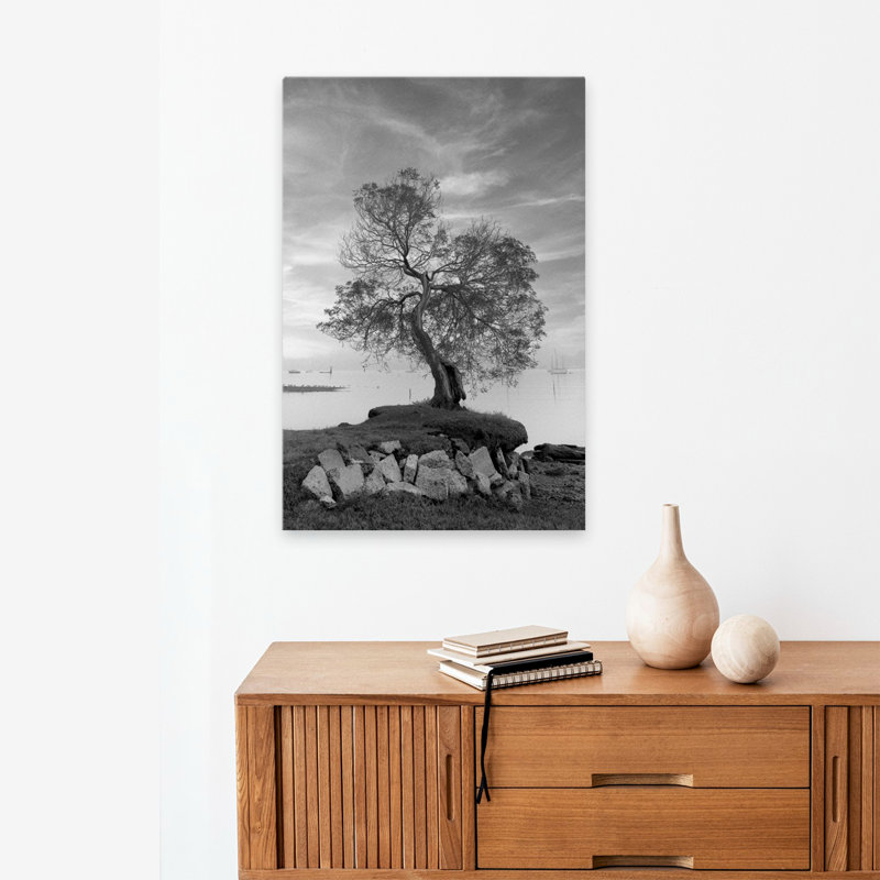 Coastal Oak Series No. 2 - Paysages, photographie, arbres, cours d'eau, art, H 24 po x l 16 po