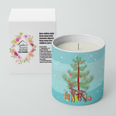 Pine / Christmas Tree Scented Jar Candle with Ceramic Holder