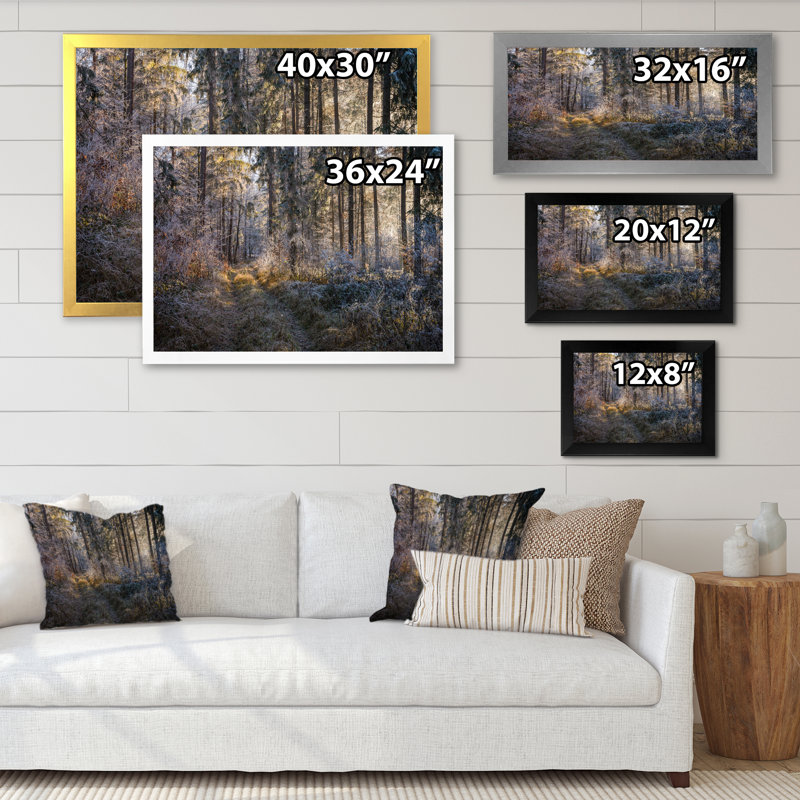 «Forest Trees In Winter», reproduction d'art sur toile, H 8 po x l 12 po x P 1 po, Cadre noir