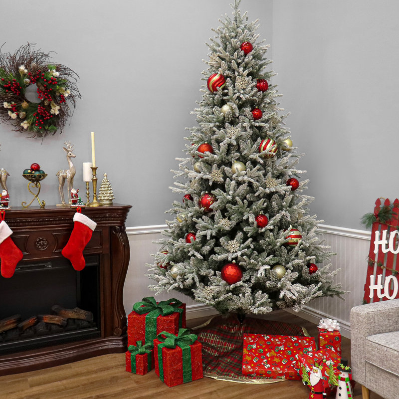 Arbre Holliston, H 7,5 pi